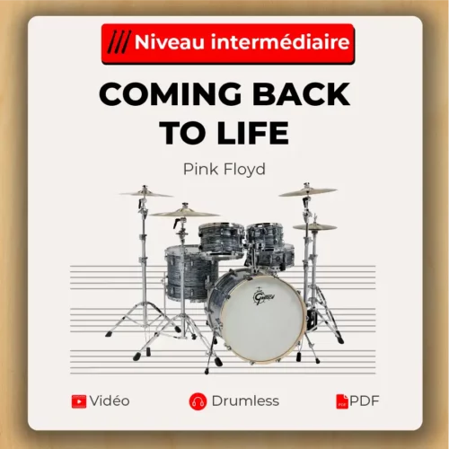 Coming Back To Life